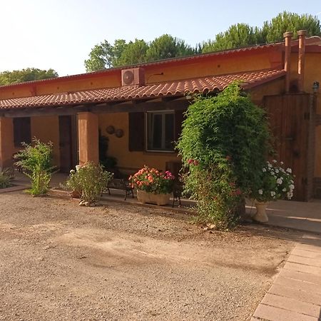Agriturismo La Barca In Secca 오이메도 외부 사진